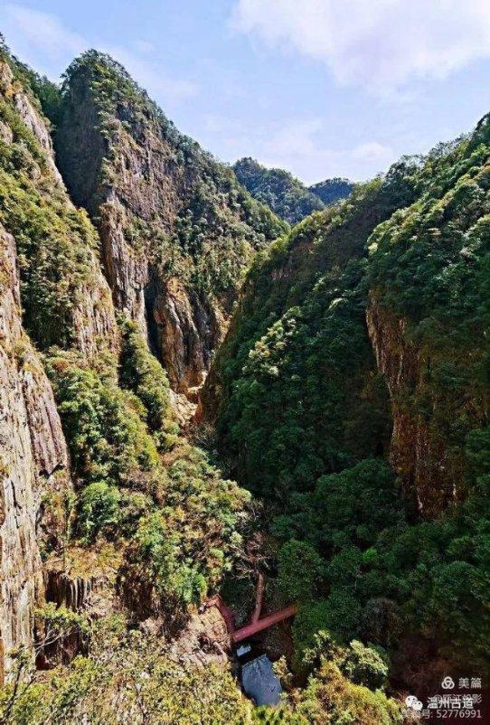 市场热议：大益2401 龙腾盛世行情上涨！-找找茶